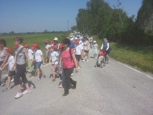 CAMMINATA  2015 1 (16)